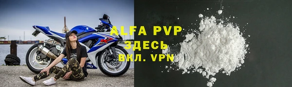 гидра Белокуриха