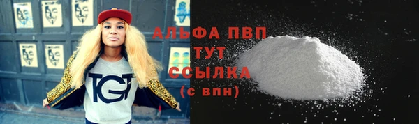 гидра Белокуриха