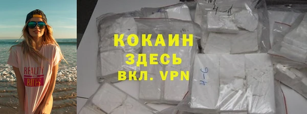 гидра Белокуриха