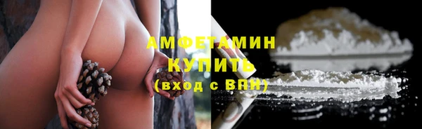 гидра Белокуриха