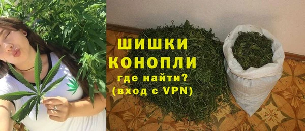 гидра Белокуриха