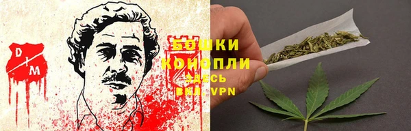 гидра Белокуриха