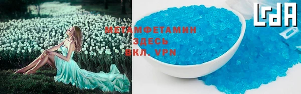 гидра Белокуриха