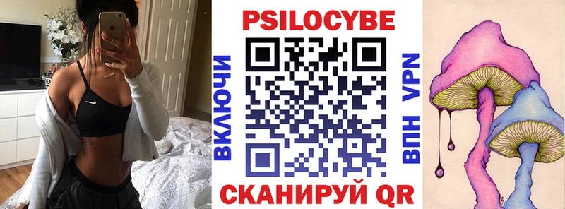 Псилоцибиновые грибы Psilocybe  Кстово 